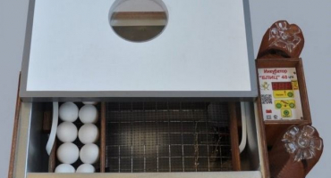 Přehled sortimentu blitz inkubátorů: klady a zápory